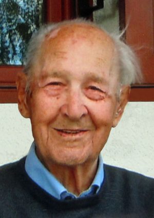 Portrait von Dipl. Ing. Herbert Wögerer