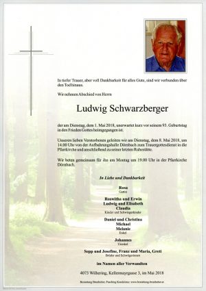 Portrait von Ludwig Schwarzberger