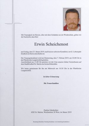 Portrait von Erwin Scheichenost